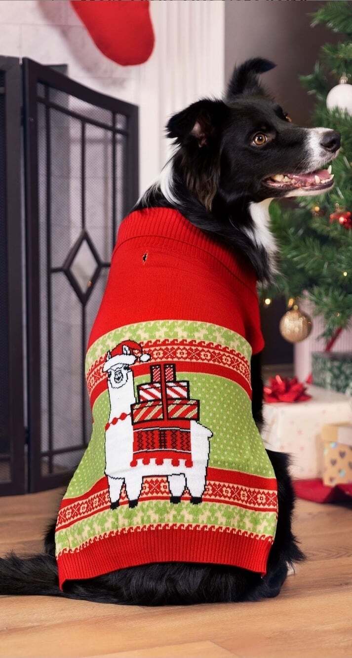 Llama Dog Holiday Christmas Pet Ugly Sweater Medium Xmas Noel Funny New NWT - Picture 3 of 4